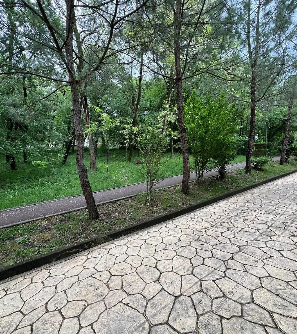 Cozy Flat Near Air Albania Stadium 1 Tirana